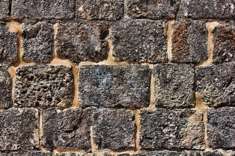 Green wall construction tips